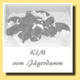 162_2012-02-27_2a-KlM1