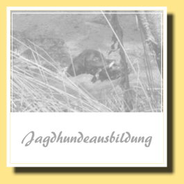 2012-07-28-031-640-Jagd-265