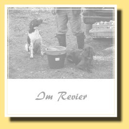 2012-11-04 1086-640-Revier